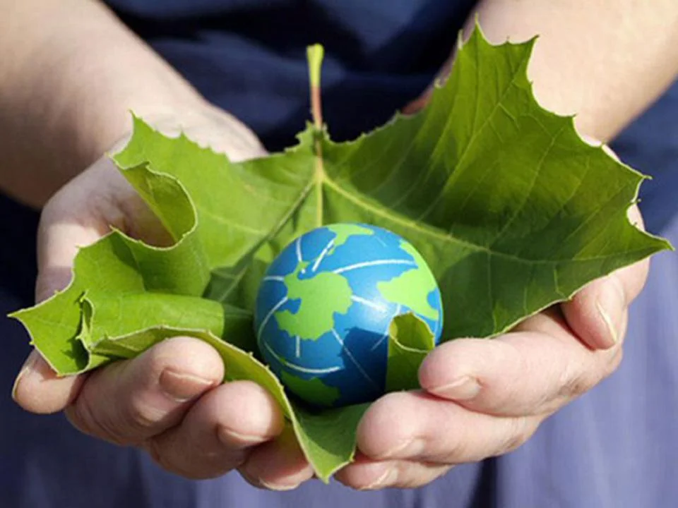 dia-mundial-de-la-naturaleza