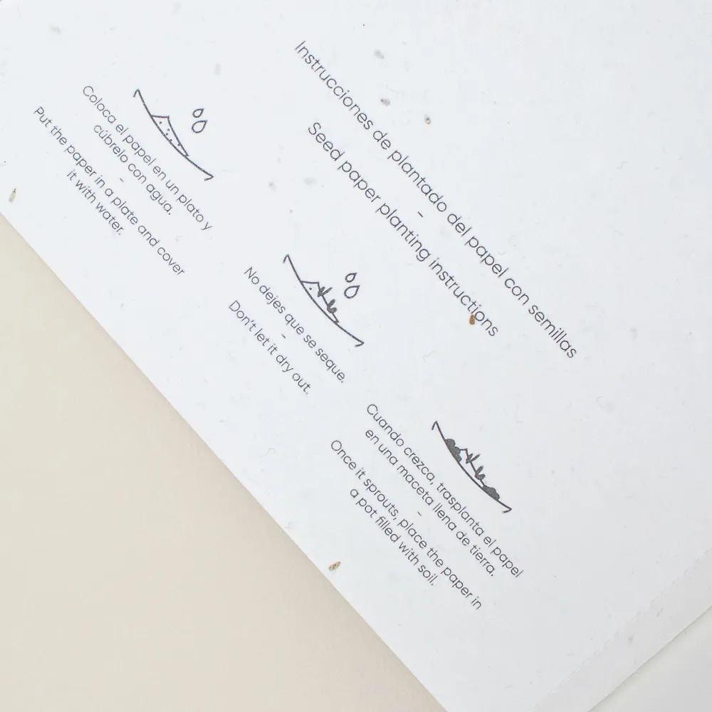 cuaderno con semillas tapa blanca cuaderno con semillas tapa blanca