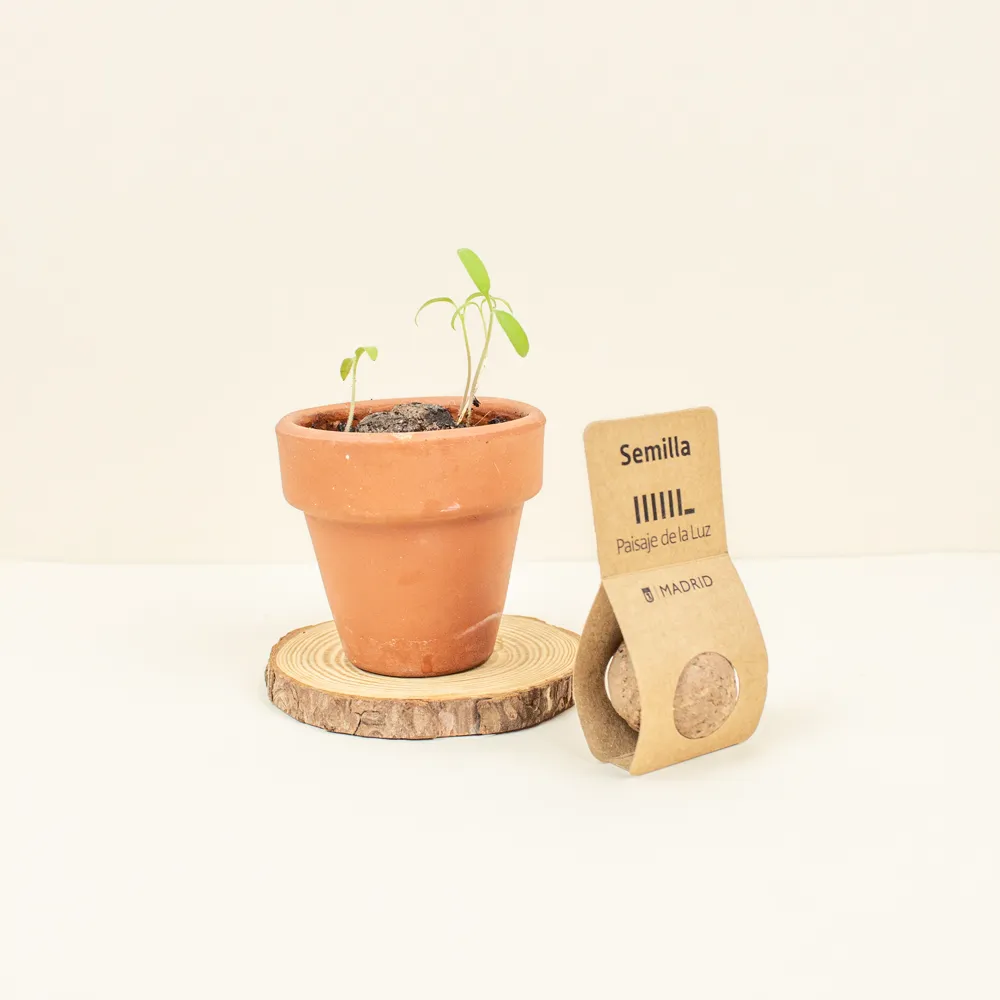 Bombon monodosis kraft