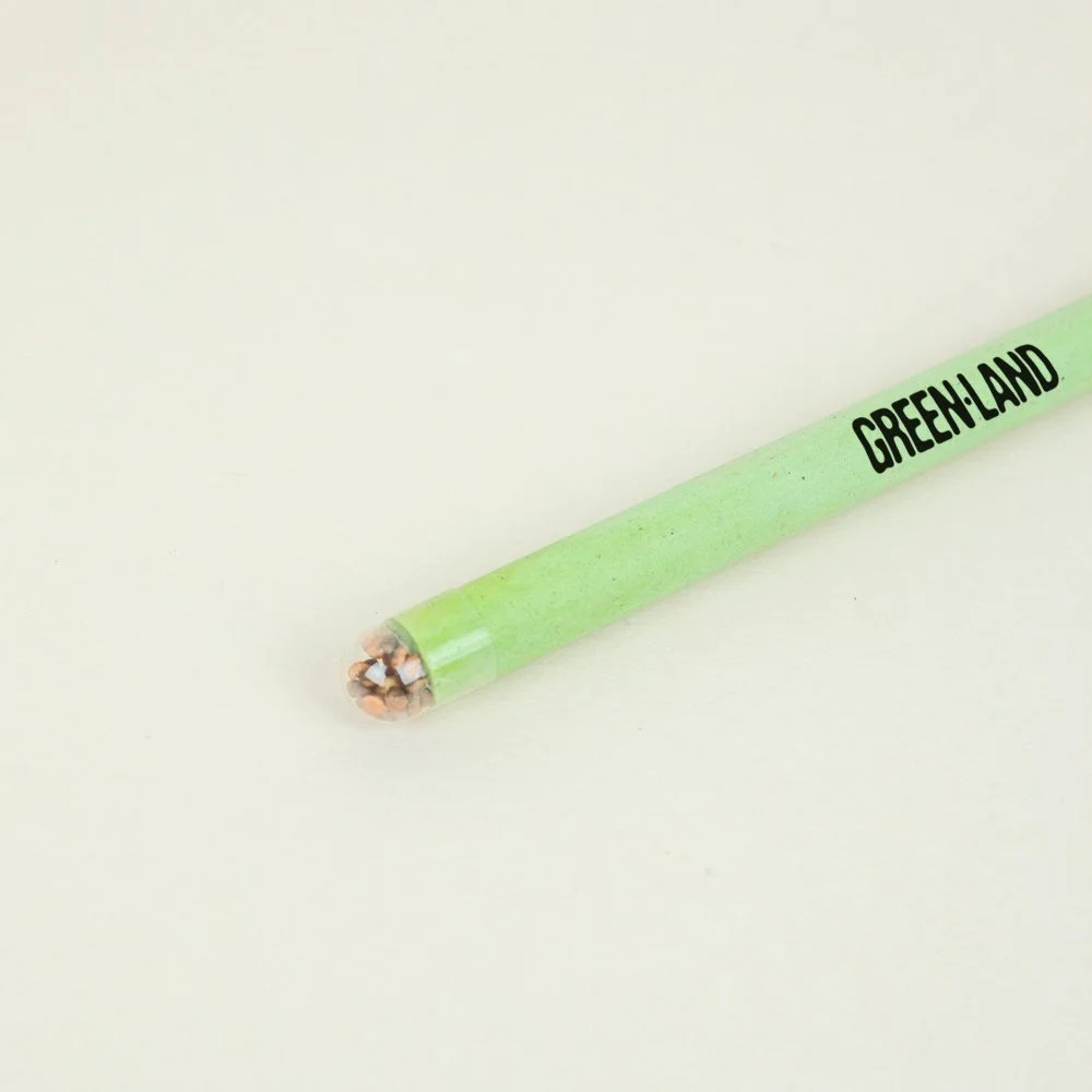 lápiz plantable rúcula