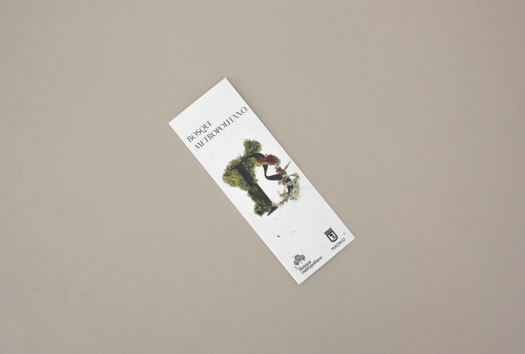 AYUNTAMIENTO DE MADRID