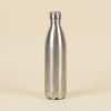 Botella térmica plateada 850ml fondo beige
