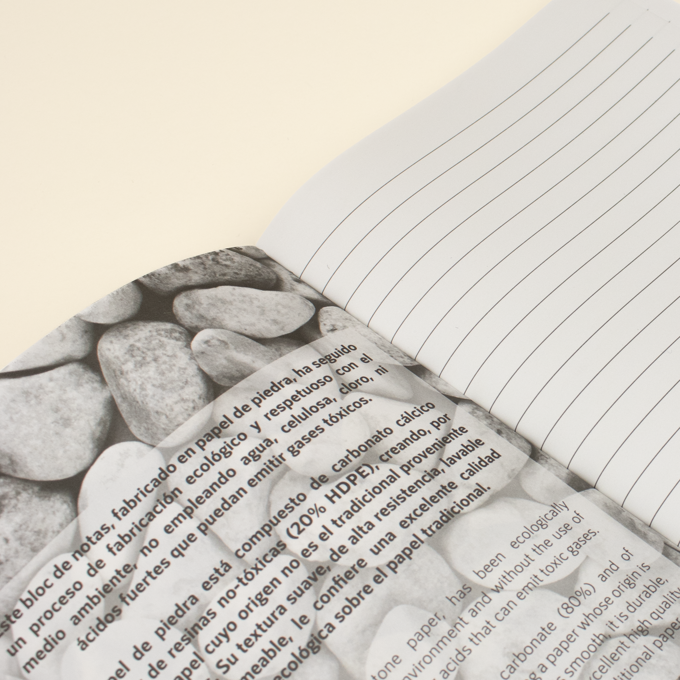 Cuaderno papel de piedra ROCO Interior Cuaderno papel de piedra abierto