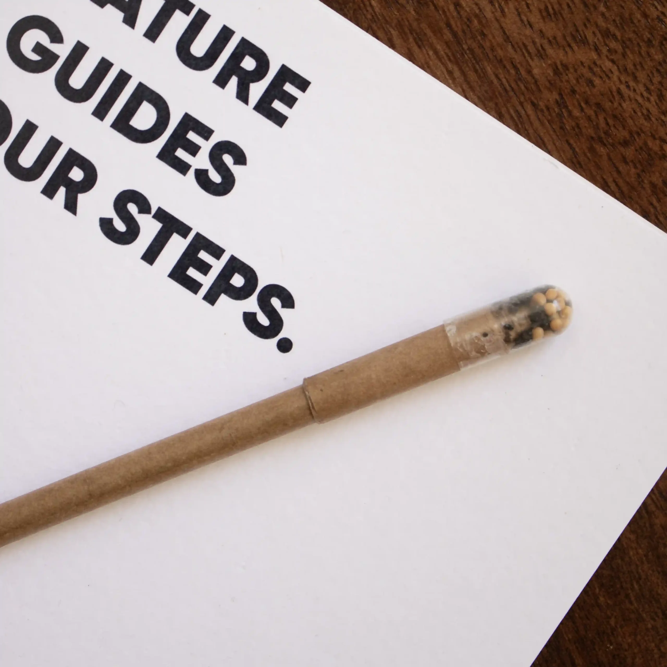 Bolígrafo plantable NABRA Lifestyle Cuaderno blanco con texto azul y bolígrafo marrón plantable con tapón de semillas