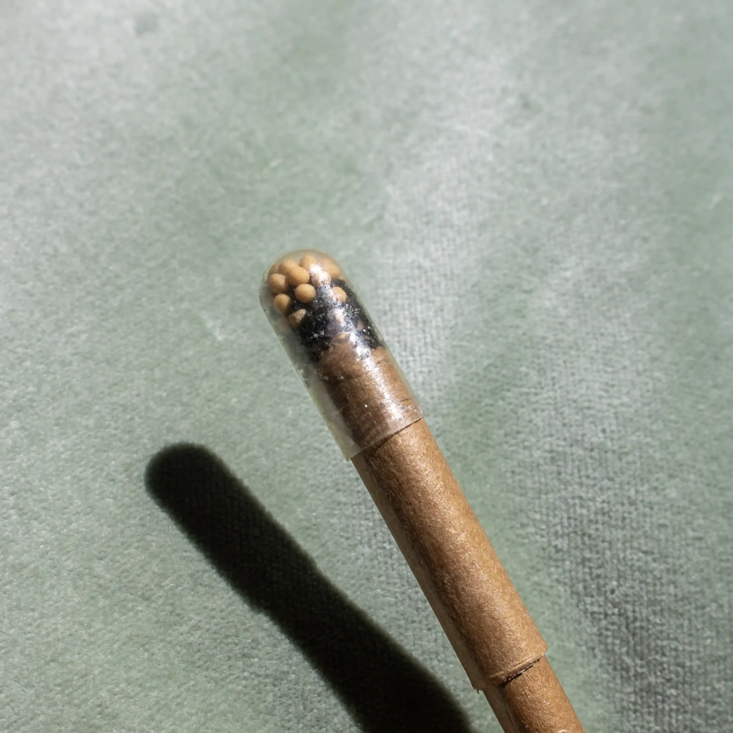 Plantable pen NABRA Seeds Plantable brown pen with a seed capsule in the cap