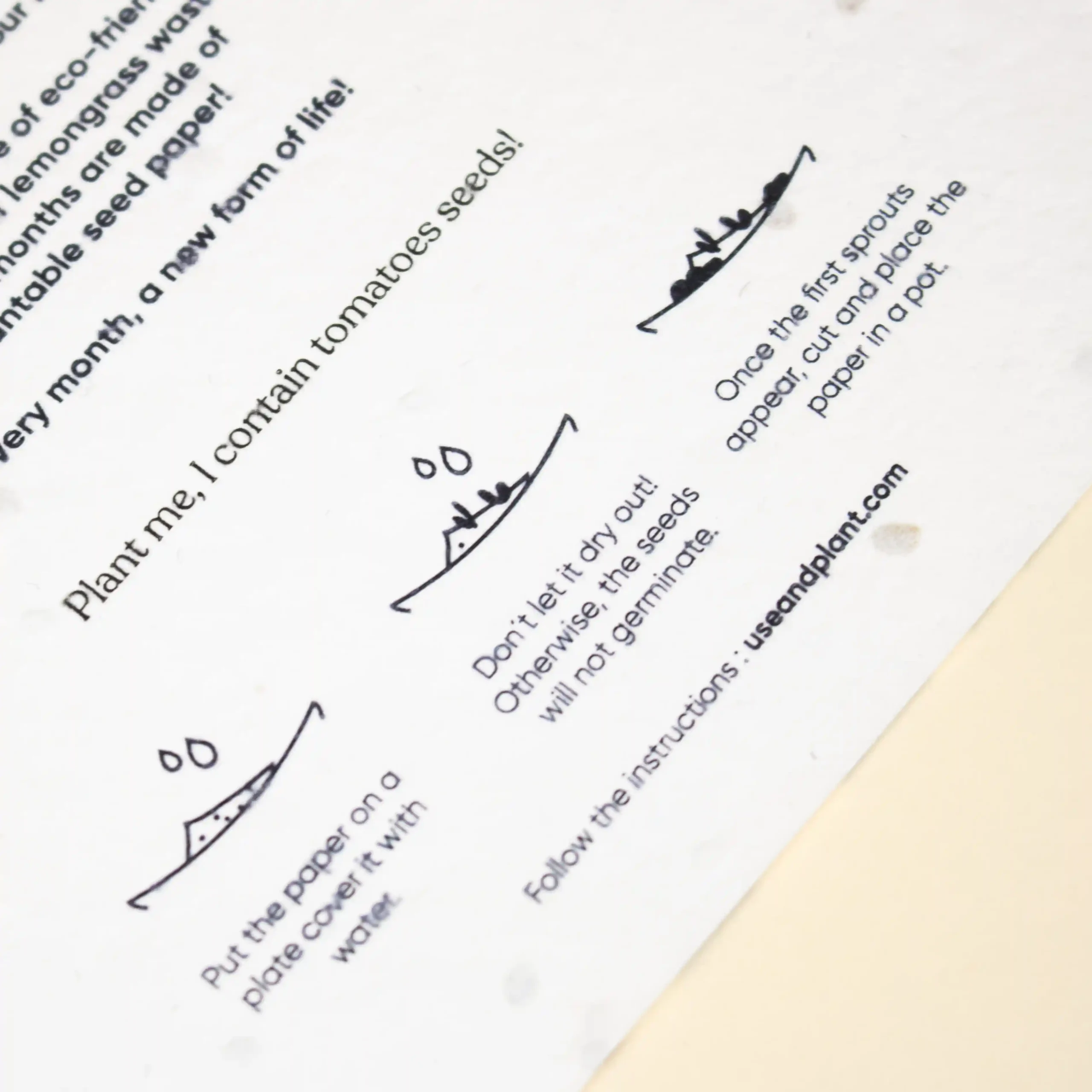 Instrucciones de plantado de un calendario plantable de mesa