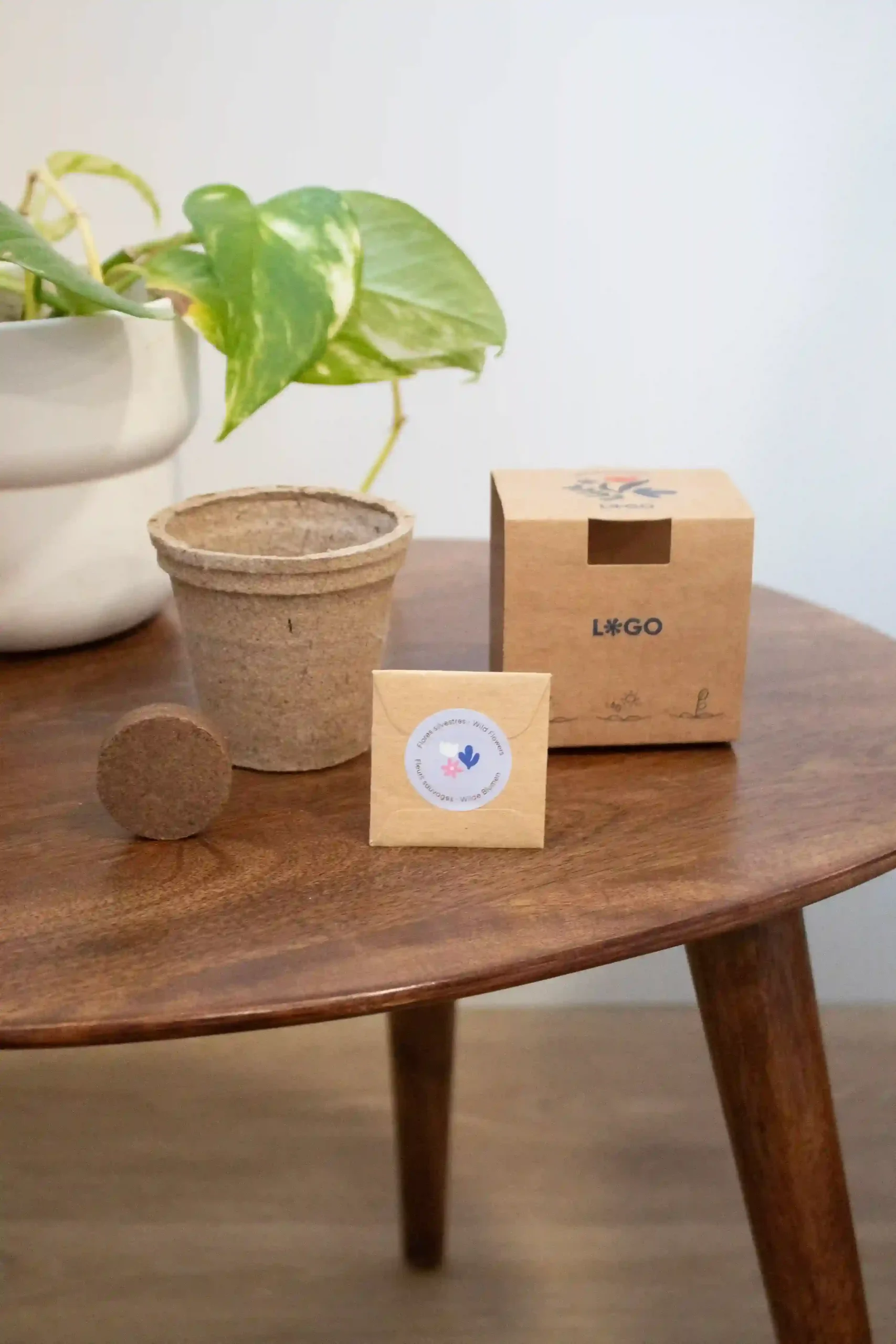 Kit plantable COCOON KRAFT Kit plantable de fibra de coco con un sobre de semillas, una pastilla de tierra y un packaging en cartón kraft personalizado sobre una mesa de madera