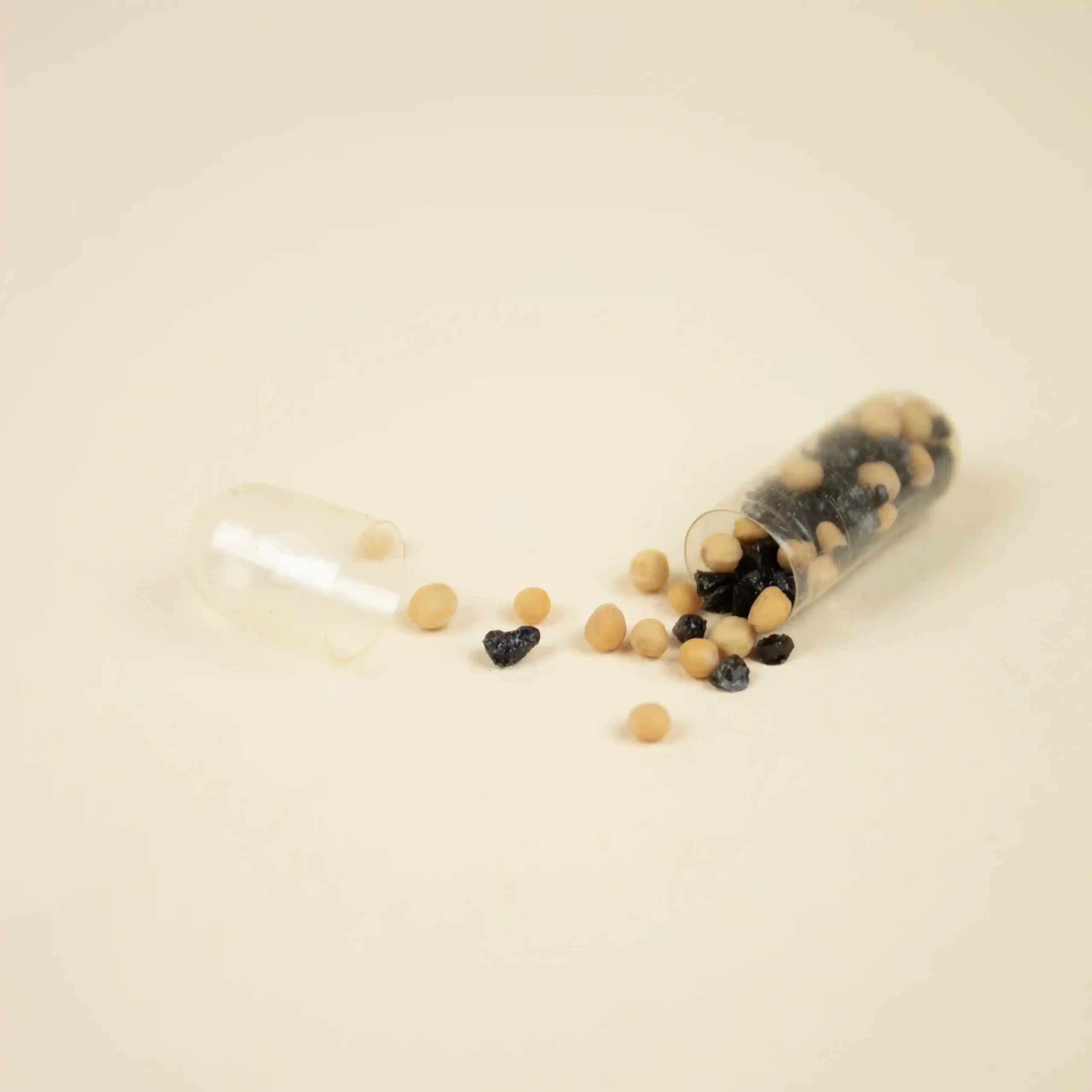 Earth Pill Cápsula de semillas EMMA Cápsula biodegradable abierta con semillas en su interior