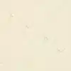 7 marchamos biodegradables blancos colocados sobre una superficie beige