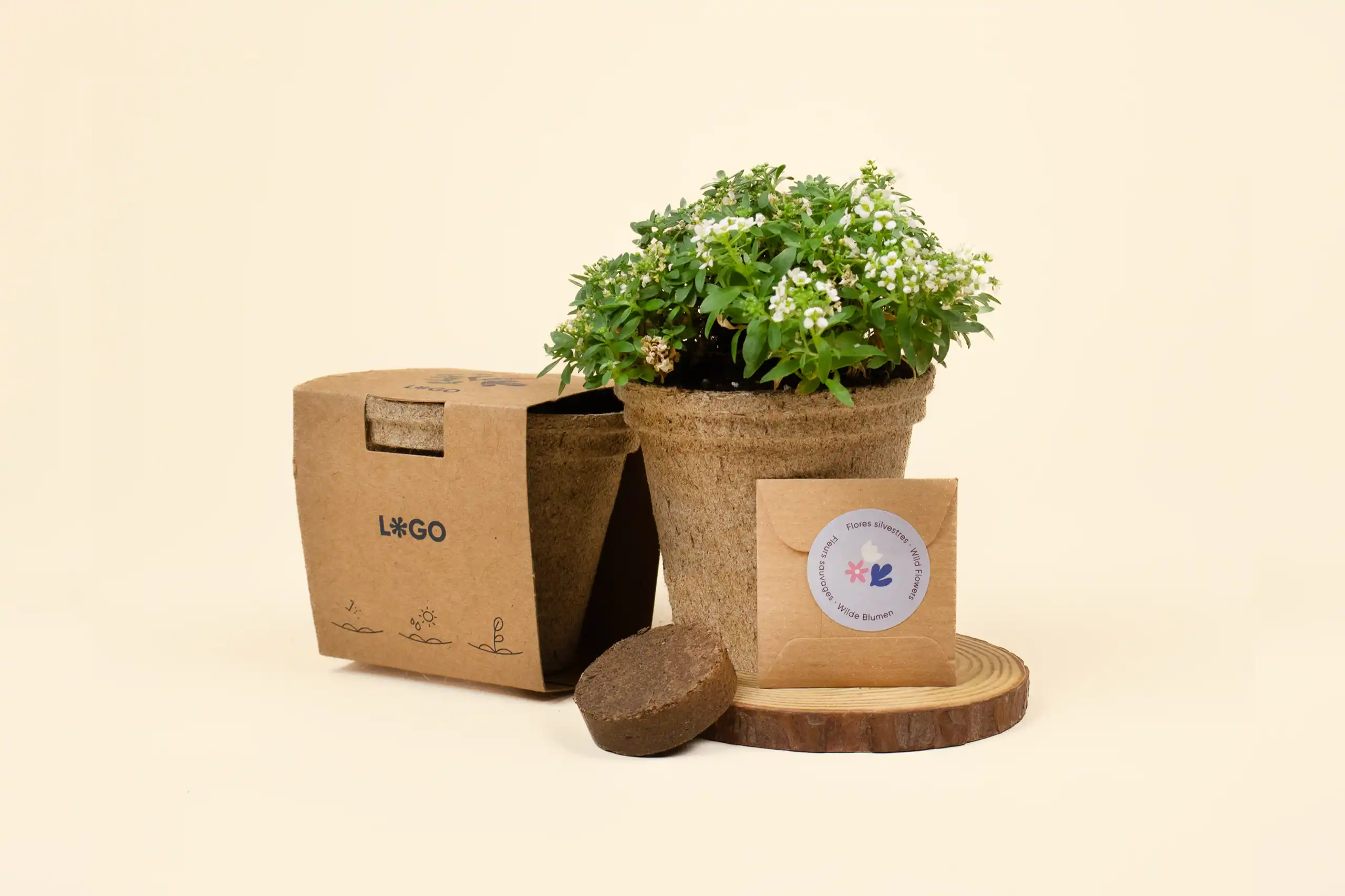 Kit de coco - Usar y Plantar kit de siembra germinado junto a un sobre pequeño de semillas, una pastilla tierra deshidratada, y una maceta de fibra de coco envuelta en una faja kraft