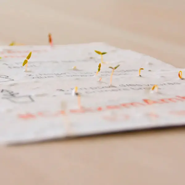 Papel plantable Hoja de papel plantable germinado