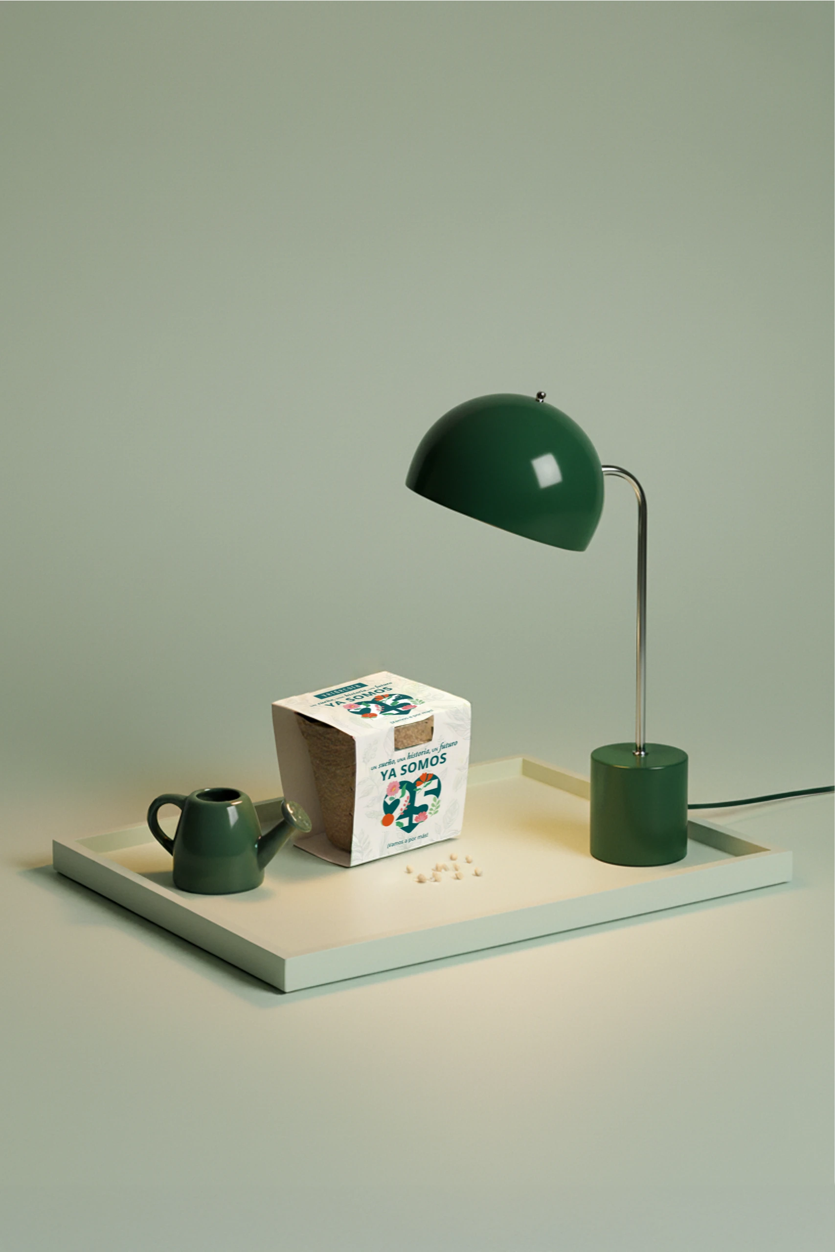 Kit plantable con faja de cartón blanca personalizada para la marca Verdecora, junto a una lámpara verde