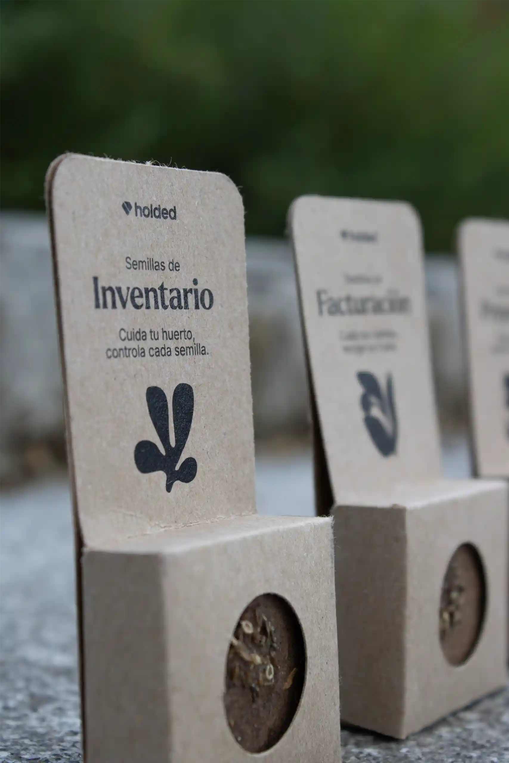 Bombón de semillas en blíster kraft personalizado para la marca Holded