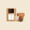 Kit plantable de barro: maceta, sobre con semillas, pastilla de tierra deshidratada y una caja de cartón kraft con una pegatina blanca personalizada