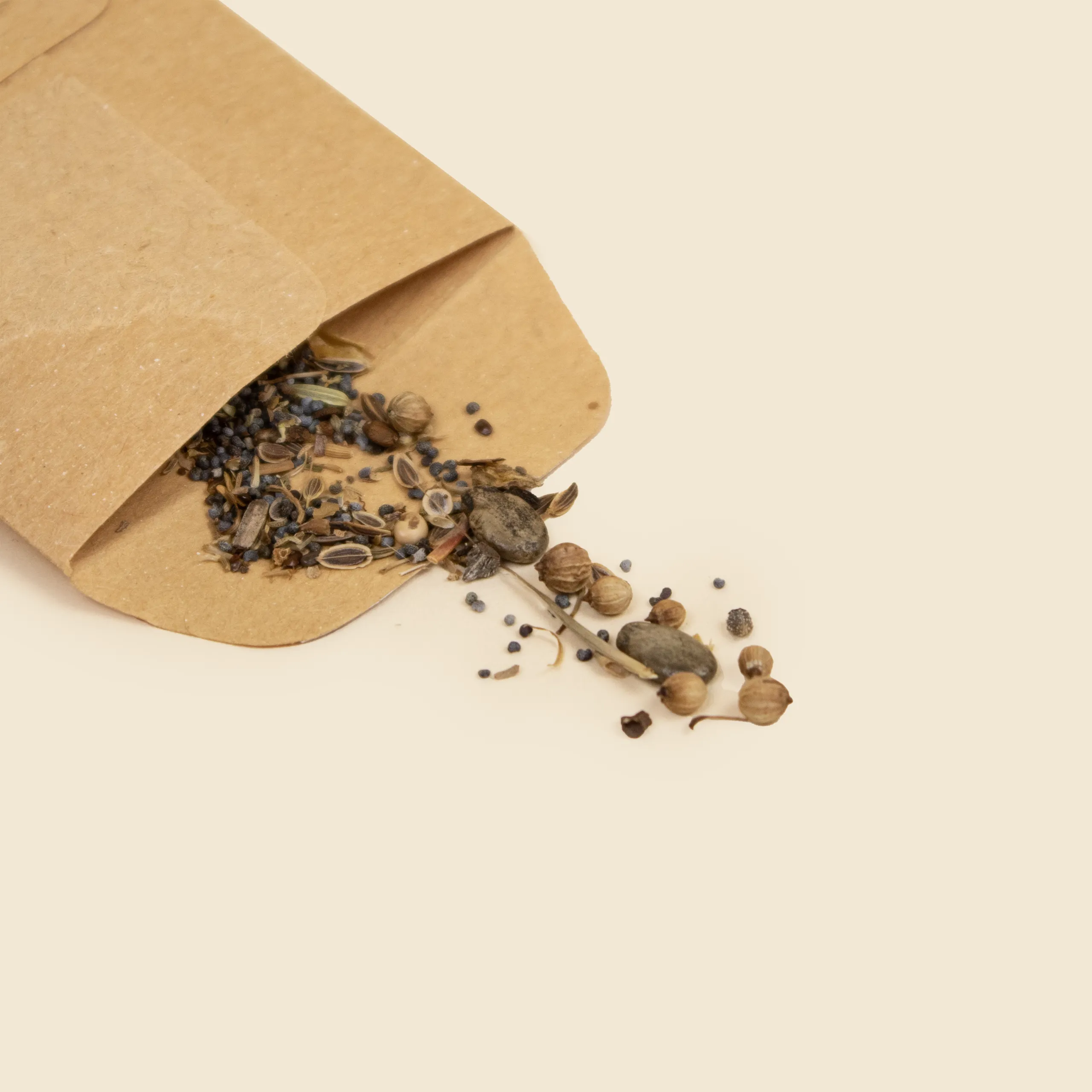 Pequeño sobre kraft abierto con diferentes semilla para plantar
