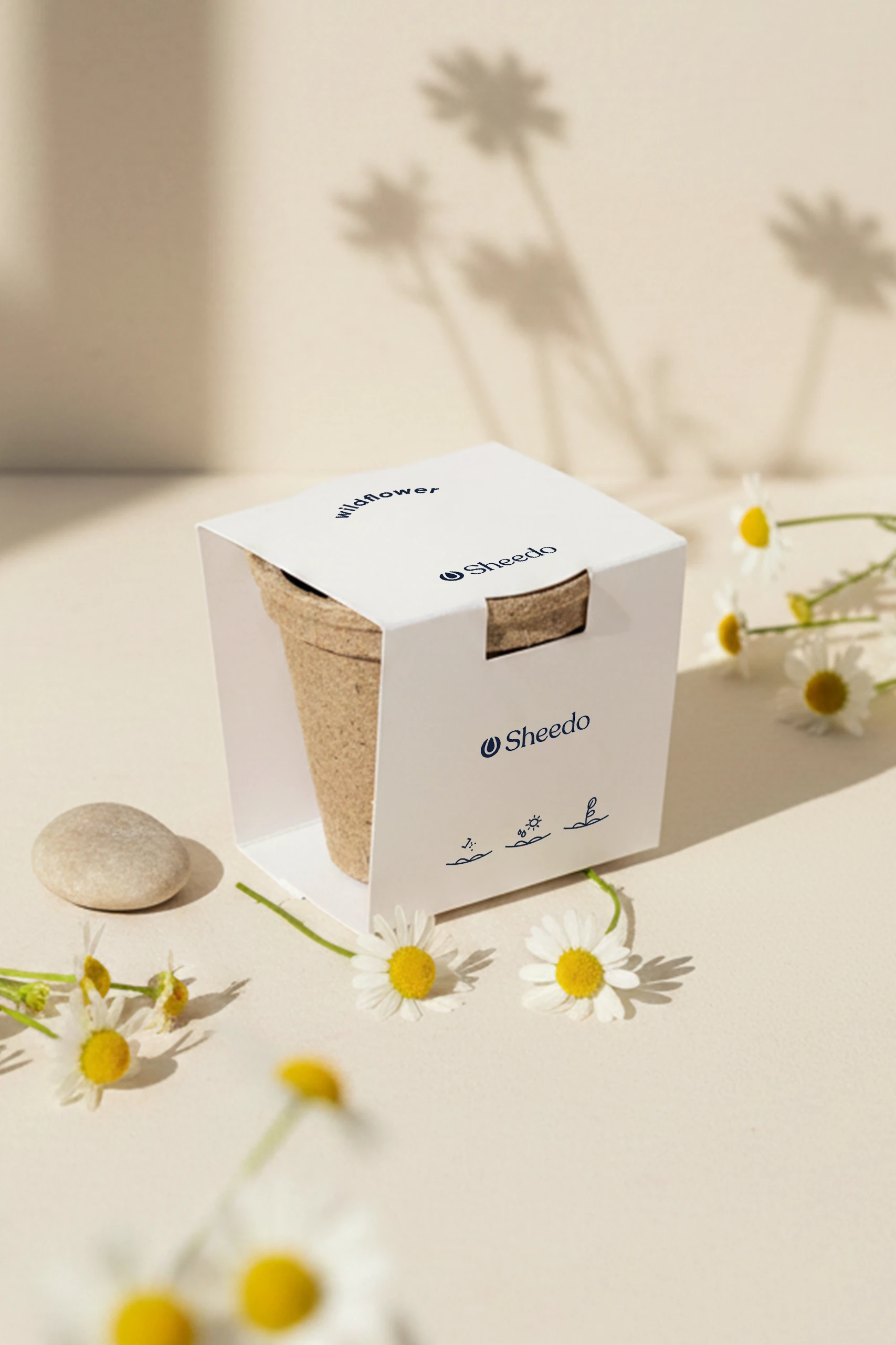 Kit plantable de fibra de coco con una faja de cartón blanco personalizada junto a una piedra y flores de margarita