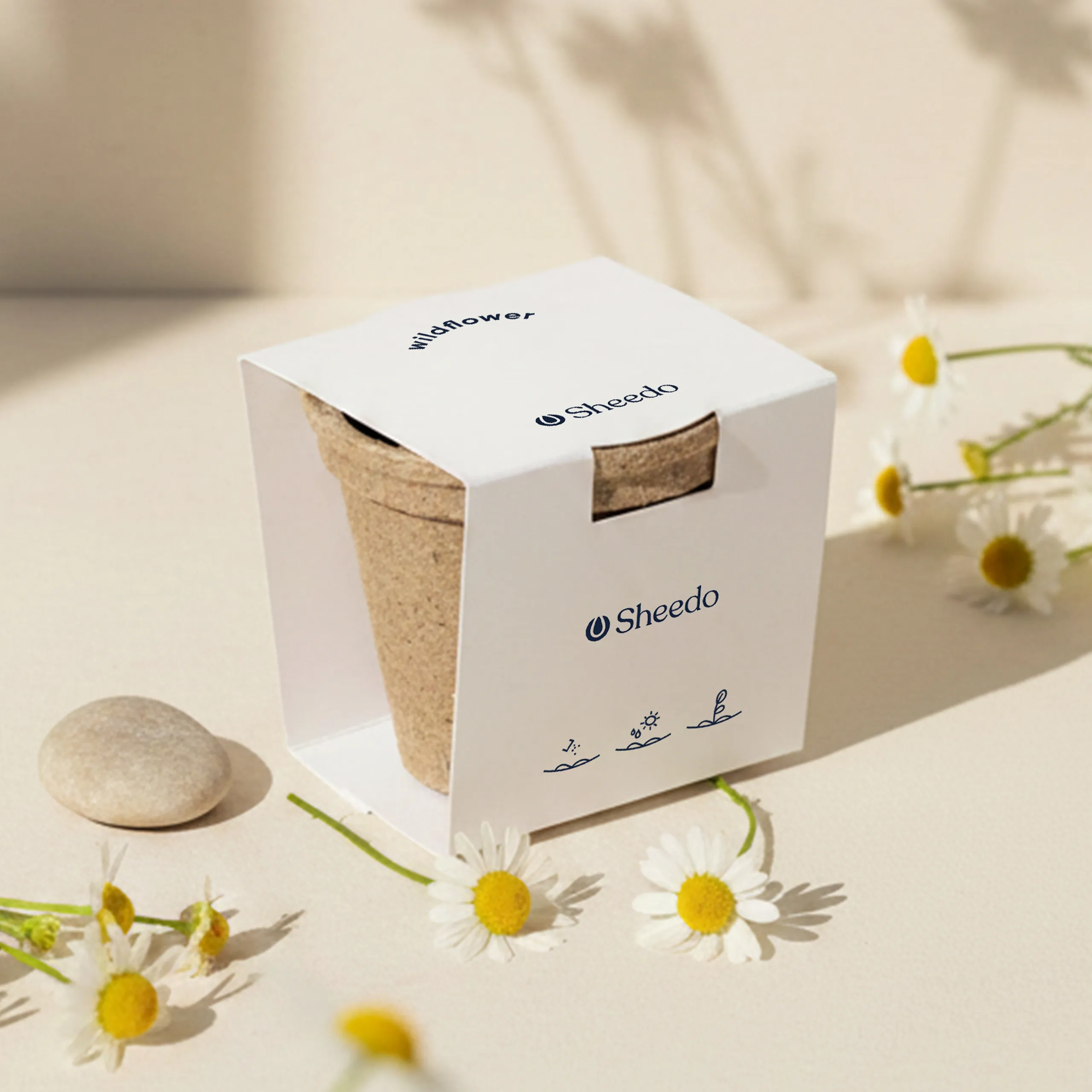 Kit plantable de fibra de coco con una faja de cartón blanco personalizada junto a una piedra y flores de margarita