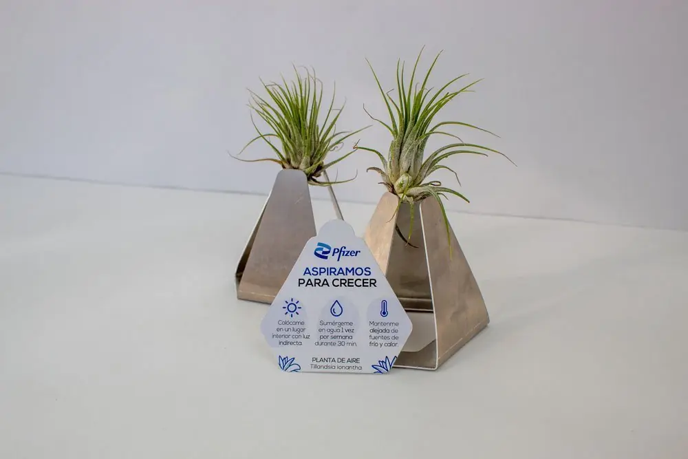 Pfizer – Planta de aire