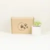 caja de carton para merchandising
